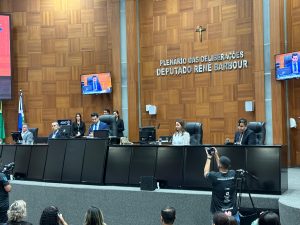 WhatsApp-Image-2024-03-15-at-13.27.37-1-300x225 Sorriso: Primeira dama Jucelia Ferro recebe o título de Cidadã Mato-grossense por trabalho na Assistência Social