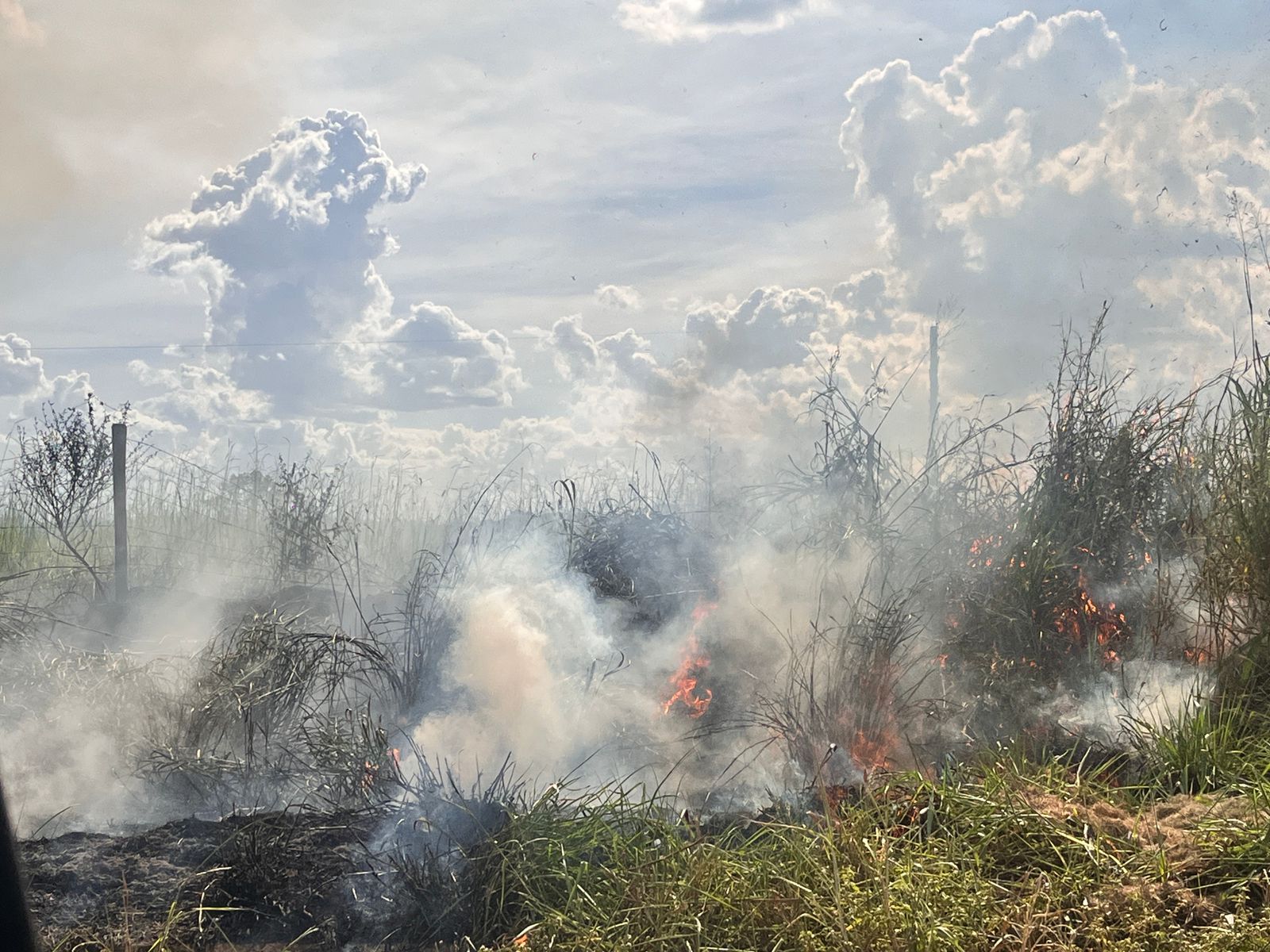 WhatsApp-Image-2025-05-19-at-14.54.57-1-1 Incêndio atinge vegetação entre os bairros Santa Maria e Brasil Norte, em Sorriso