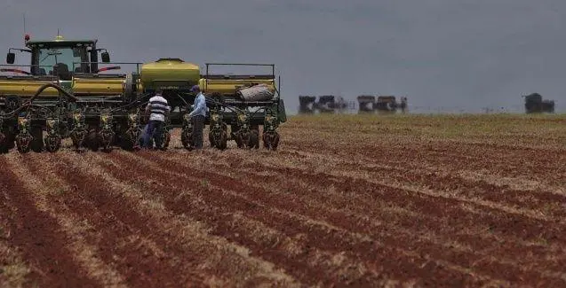 image-2.jpeg Custos do algodão sobem 12% em Mato Grosso e atingem maior patamar desde a safra 22/23