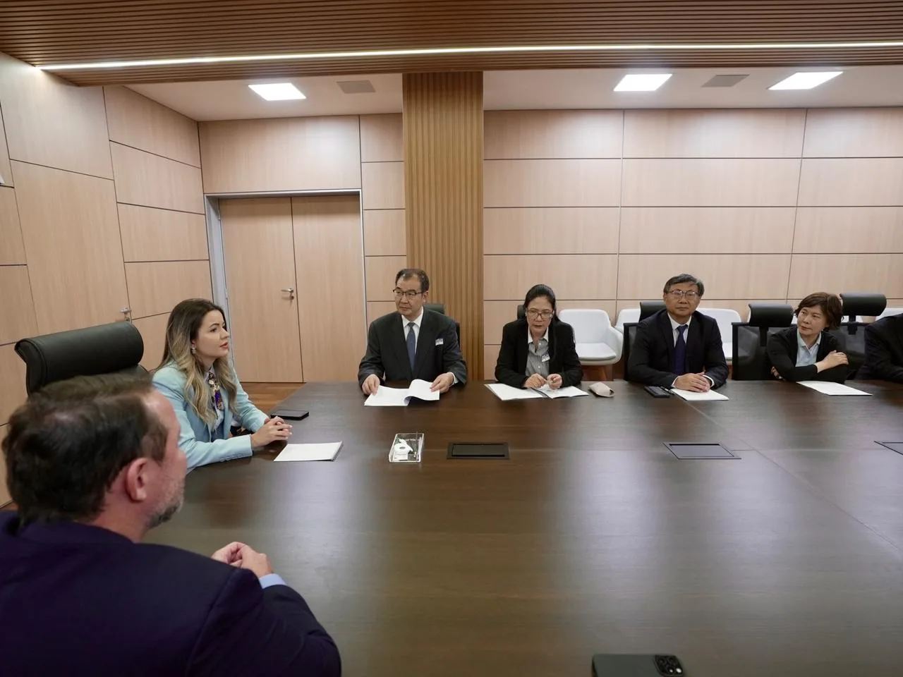 WhatsApp-Image-2025-10-28-at-12.22.51-1 APROFIR participa de reunião no MAPA com delegação da China para fortalecer cooperação em ciência agrícola e inovação