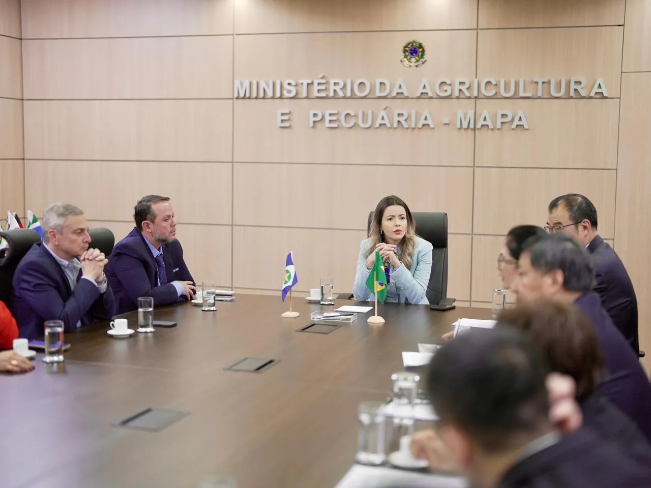 WhatsApp-Image-2025-10-28-at-12.22.53-2 APROFIR participa de reunião no MAPA com delegação da China para fortalecer cooperação em ciência agrícola e inovação