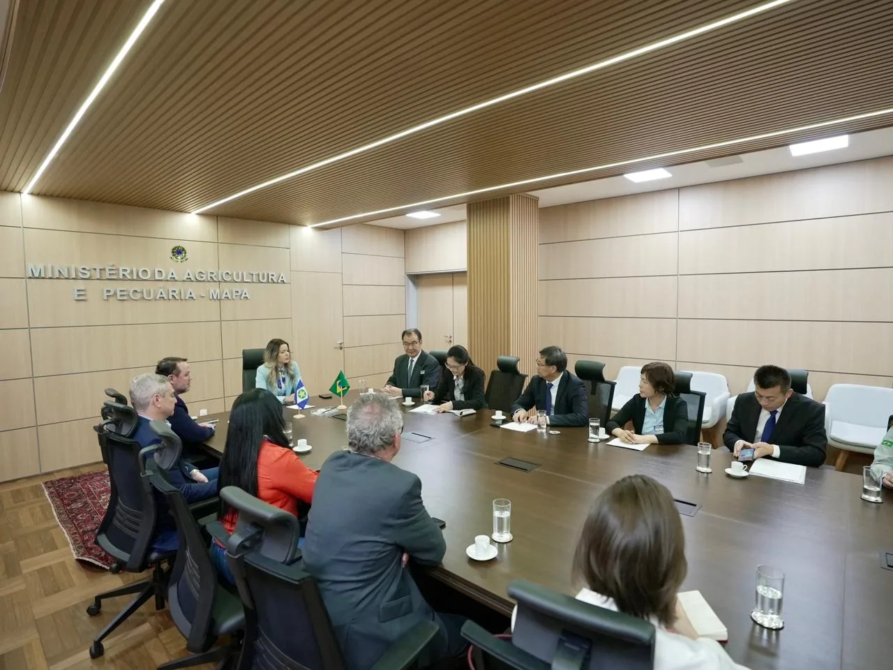 WhatsApp-Image-2025-10-28-at-12.22.54 APROFIR participa de reunião no MAPA com delegação da China para fortalecer cooperação em ciência agrícola e inovação