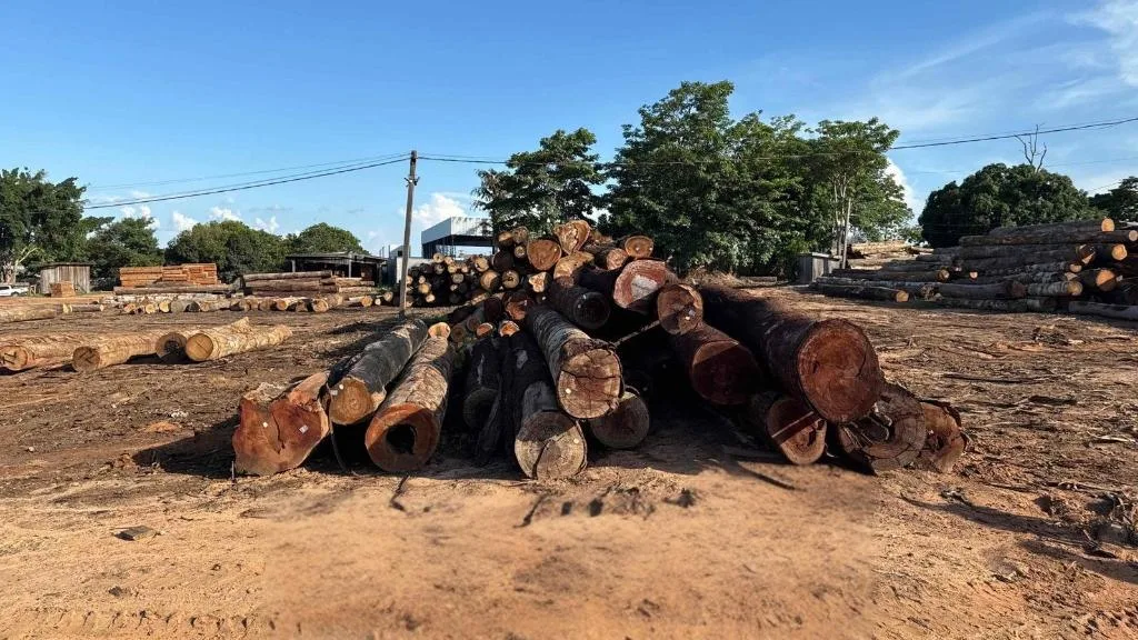 WhatsApp-Image-2025-11-05-at-17.22.46-1 Polícia Civil deflagra 2ª fase da investigação que apura crime de extração ilegal de madeira em Juína