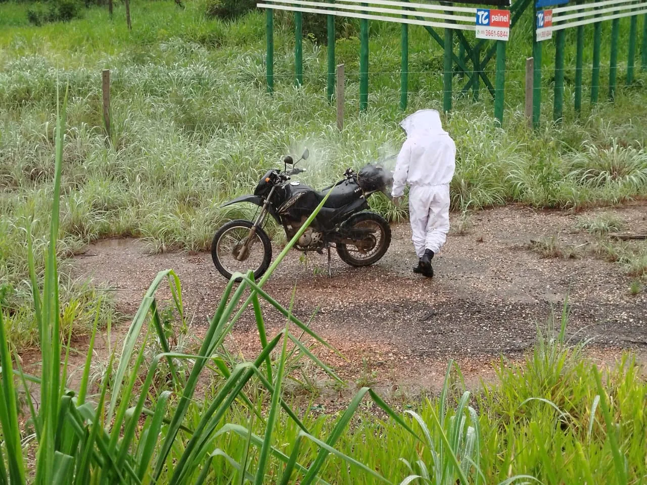 WhatsApp-Image-2025-12-19-at-12.25.26 Jovem escapa ileso de ataque de abelhas africanizadas na BR-163