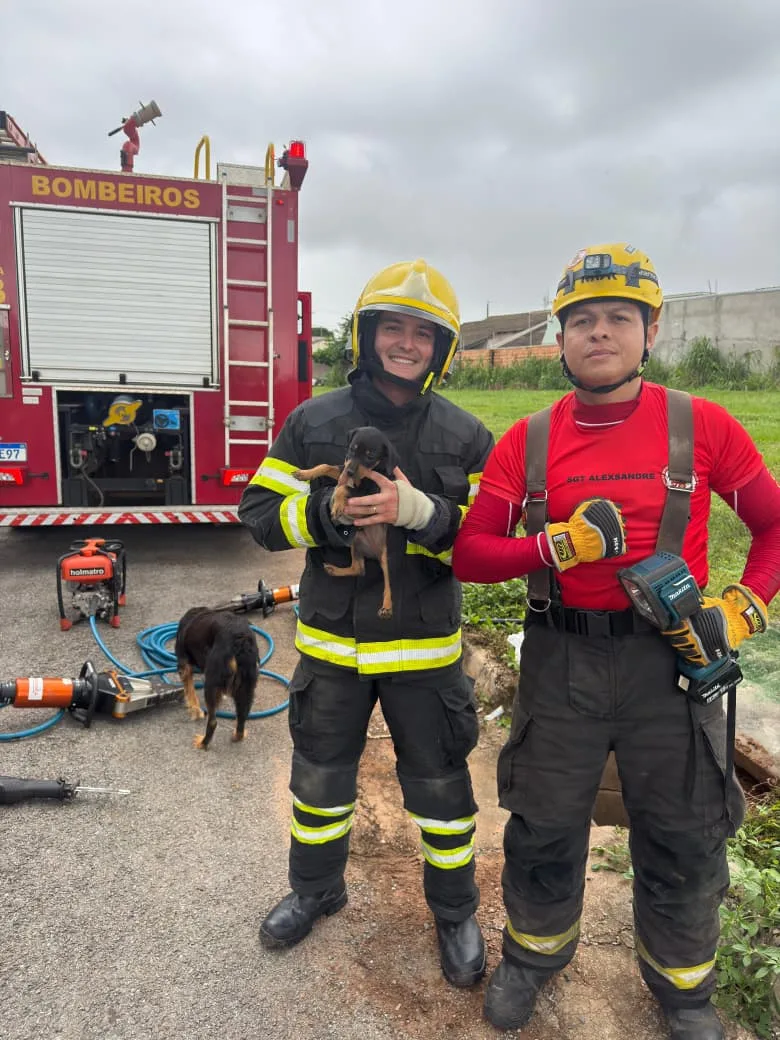 7a5bdc49-063e-4f77-bea3-294e5b821643 Cão é resgatado de bueiro após possível abandono no bairro Bom Jesus