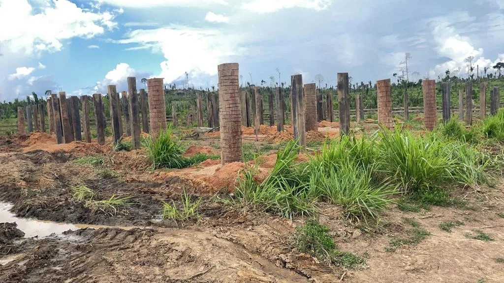 WhatsApp-Image-2026-01-08-at-20.08.53 Batalhão Ambiental da PM apreende maquinários após denúncia de crime em zona rural de Colniza