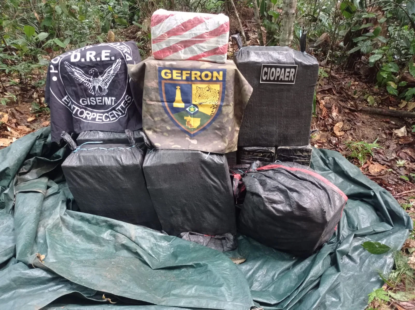 WhatsApp-Image-2026-01-16-at-13.43.01 Piloto é preso em Sinop durante operação que apreendeu 500 kg de drogas vindas da Bolívia