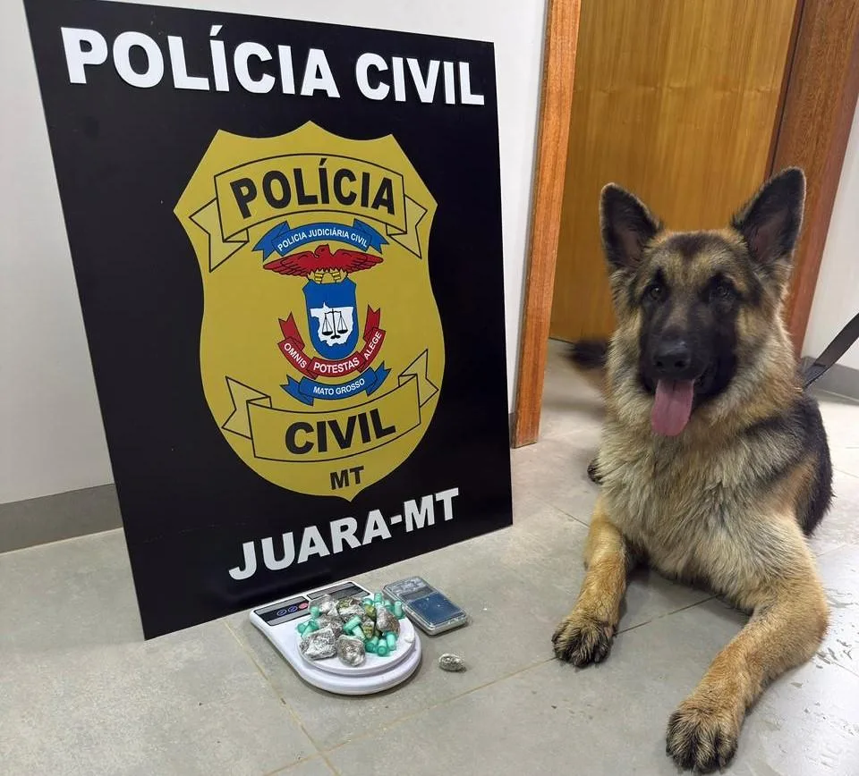 WhatsApp-Image-2026-02-03-at-14.54.59 Polícia Civil prende dois homens por tráfico de drogas em Juara