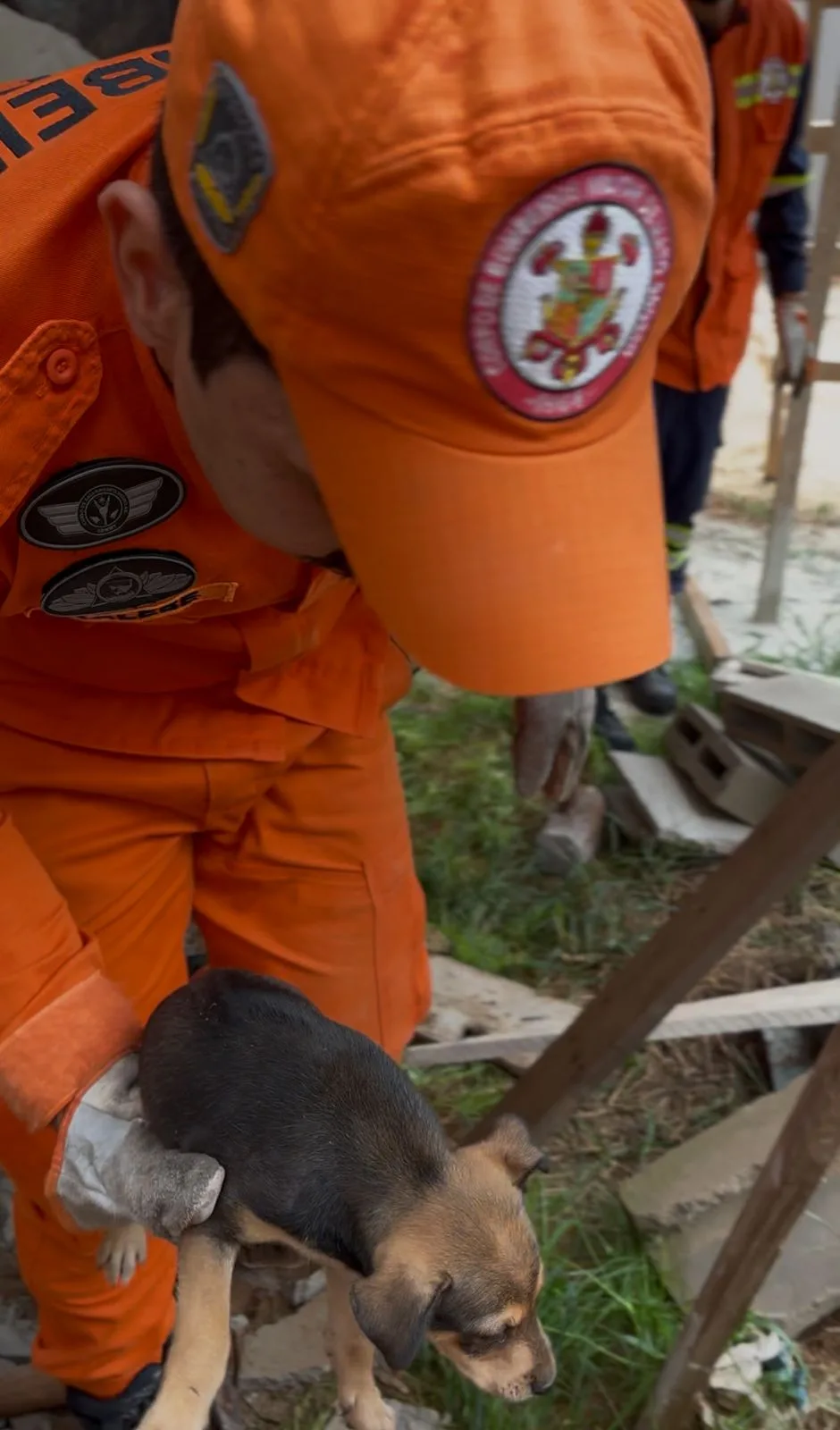 WhatsApp-Image-2026-02-04-at-19.47.07 Bombeiros militares salvam quatro filhotes de cachorro que estavam presos em vão entre paredes