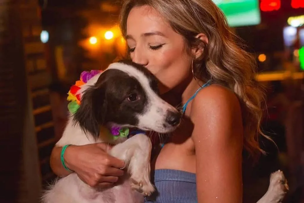 177269337969a92783827e0_1772693379_3x2_lg BBB 26: Globo veta publicidade de O Boticário com Lindolfo, cão de Samira