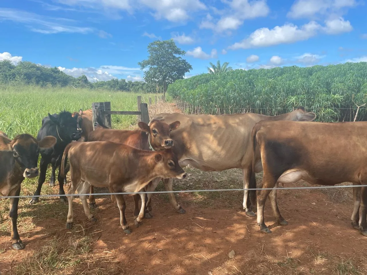 WhatsApp-Image-2026-04-10-at-15.43.53-2 Justiça determina reintegração de posse em área de assentamento em Vera; advogado anuncia recurso