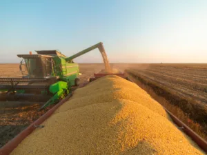 168754-300x225 Soja em Mato Grosso avança com impulso externo, mas custos seguem no radar do produtor