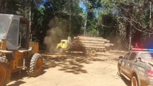 ARTE-54-300x169 Operação flagra desmatamento ilegal de 1,2 mil hectares e aplica R$ 7,2 milhões em multas