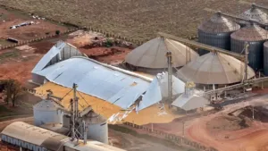 Armazen-Cooperoeste-2-300x169 Armazém com cerca de 34 mil toneladas de grãos desaba às margens da BR-163