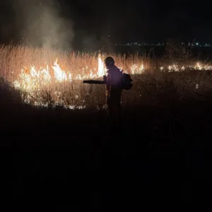 WhatsApp-Image-2026-08-25-at-16.31.44-300x300 Bombeiros combatem dois incêndios em áreas de vegetação