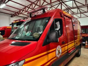 c04d36e8b9fce63469a0bfbc1e93f34d-300x225 Pneu estoura e carro capota na BR-174; gestante e duas crianças ficam feridas