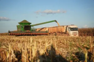 lavoura-campo-milho-300x200 Colheita do milho segunda safra ultrapassa 99% da área em Mato Grosso