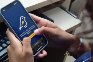 551e672498116f1c9be210681a1b458d-300x200 Cuiabá e Sinop lideram denúncias de propaganda eleitoral irregular em Mato Grosso
