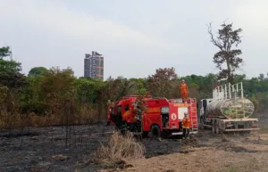 WhatsApp-Image-2026-09-22-at-08.46.30-300x193 Corpo de Bombeiros extingue incêndio na Trilha da Bica