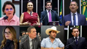ARTE-17-300x169 Mato Grosso elege oito deputados federais e renova metade da bancada na Câmara
